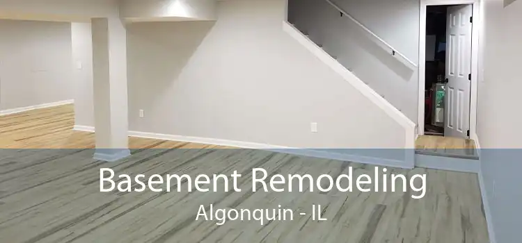 Basement Remodeling Algonquin - IL