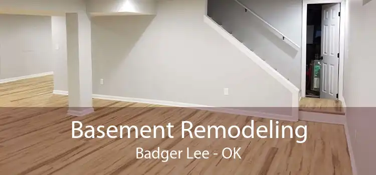 Basement Remodeling Badger Lee - OK