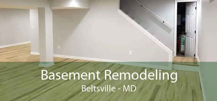 Basement Remodeling Beltsville - MD