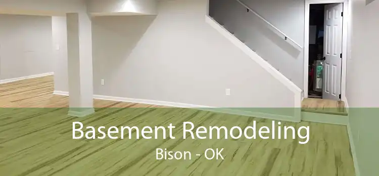 Basement Remodeling Bison - OK