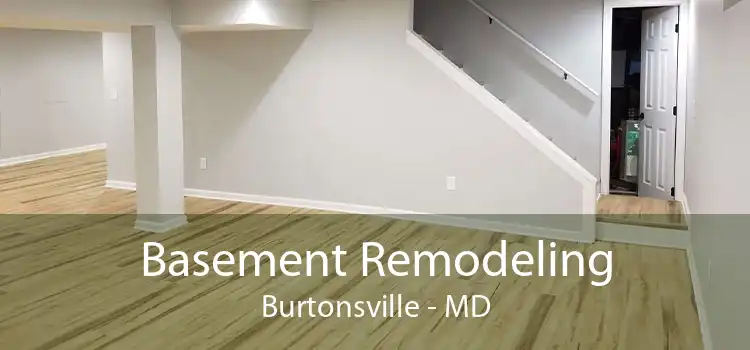 Basement Remodeling Burtonsville - MD