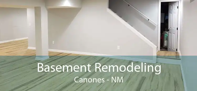 Basement Remodeling Canones - NM