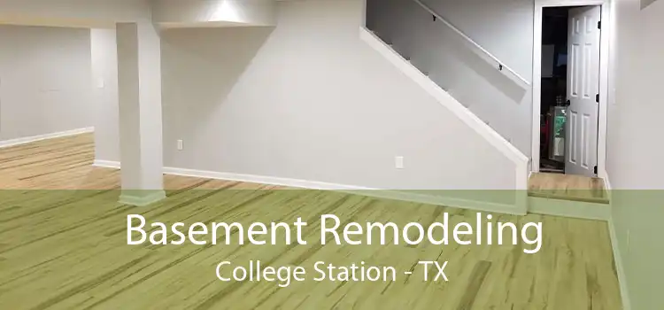 Basement Remodeling College Station - TX