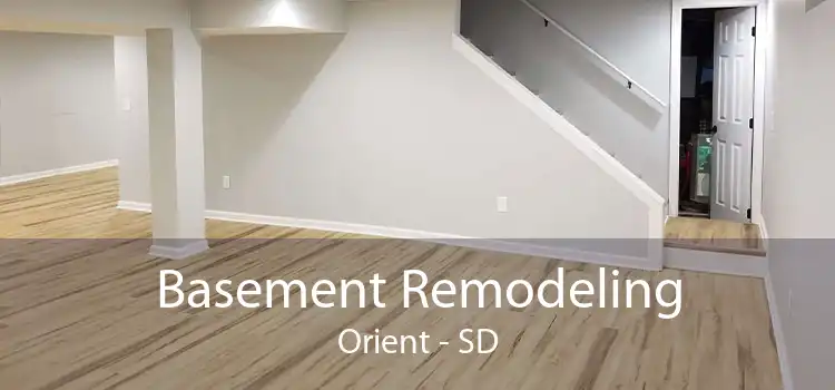 Basement Remodeling Orient - SD