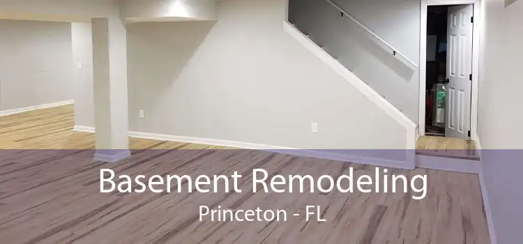 Basement Remodeling Princeton - FL