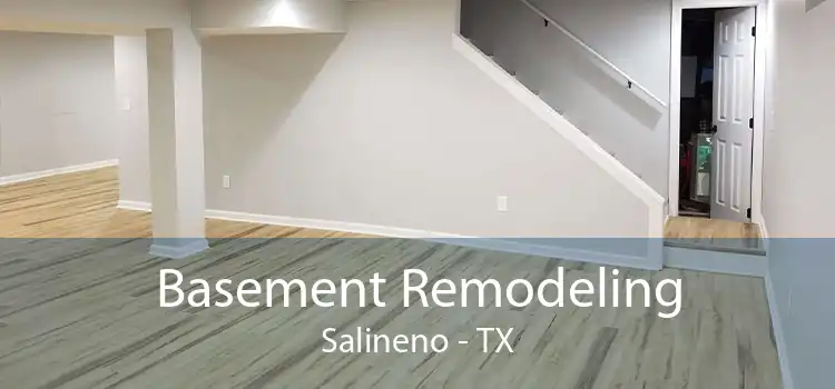 Basement Remodeling Salineno - TX