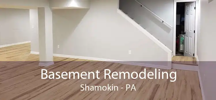 Basement Remodeling Shamokin - PA