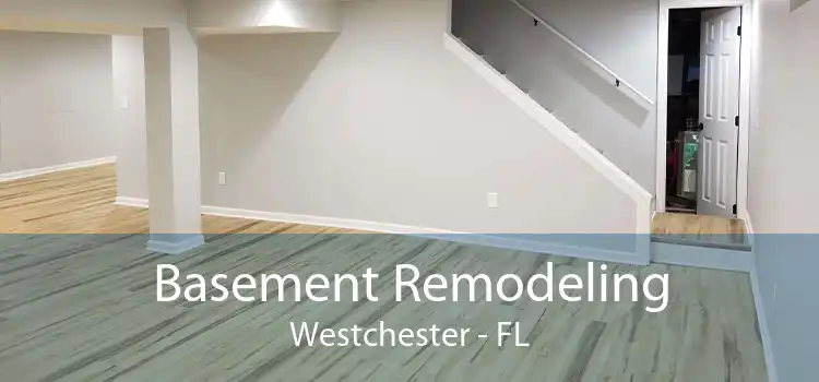 Basement Remodeling Westchester - FL