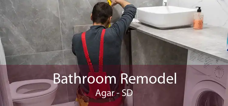 Bathroom Remodel Agar - SD