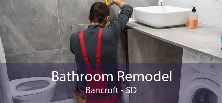 Bathroom Remodel Bancroft - SD