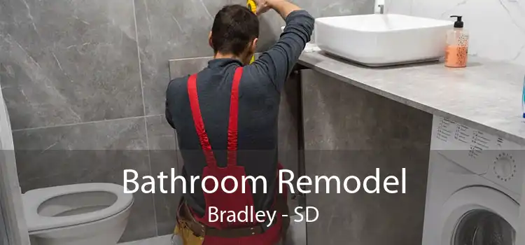 Bathroom Remodel Bradley - SD