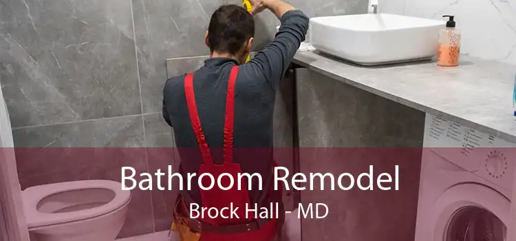 Bathroom Remodel Brock Hall - MD