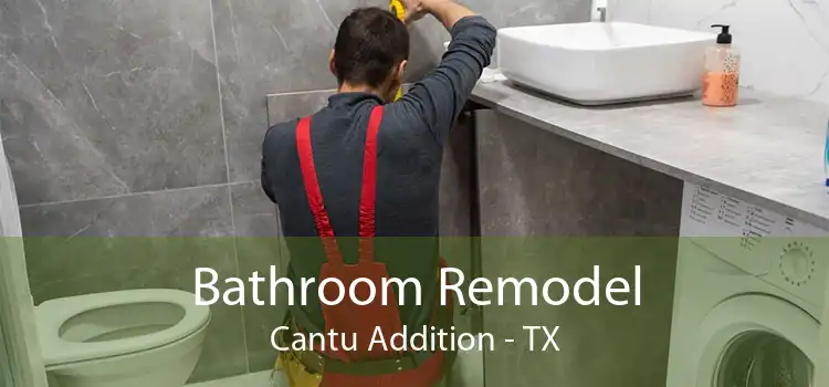 Bathroom Remodel Cantu Addition - TX