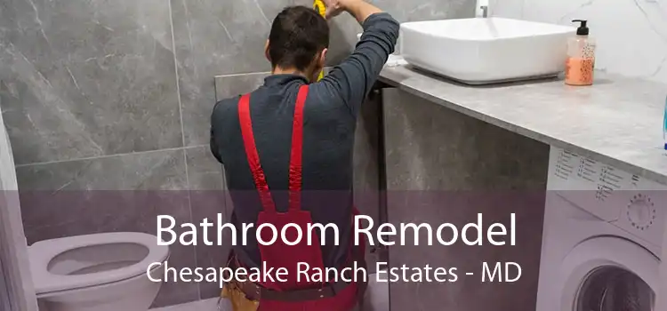 Bathroom Remodel Chesapeake Ranch Estates - MD