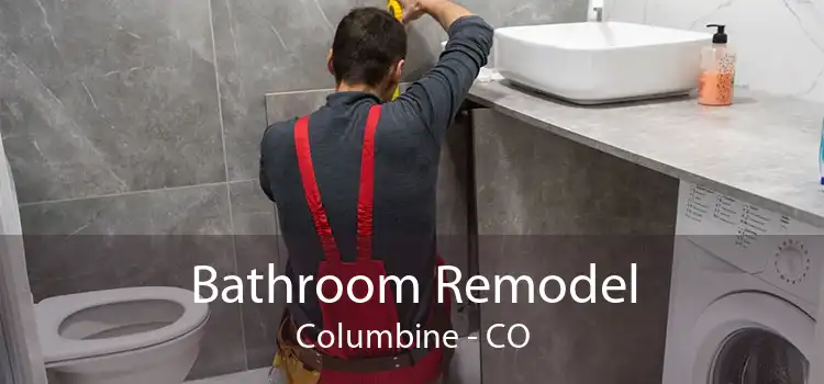 Bathroom Remodel Columbine - CO