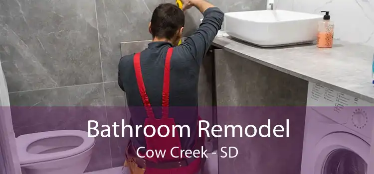 Bathroom Remodel Cow Creek - SD