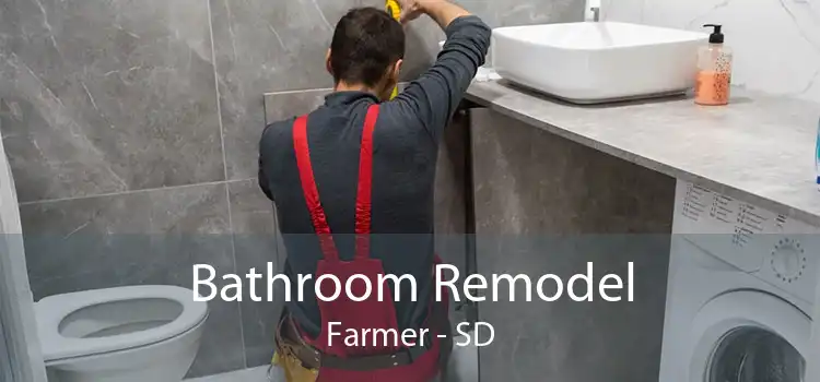 Bathroom Remodel Farmer - SD