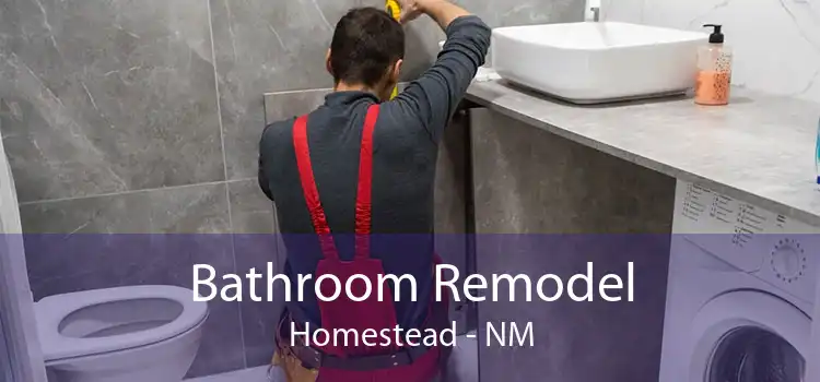 Bathroom Remodel Homestead - NM