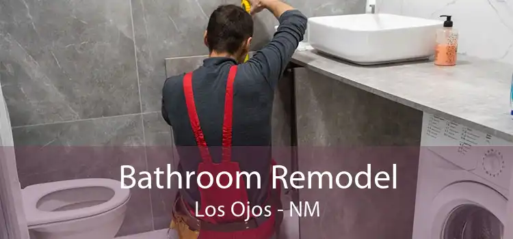 Bathroom Remodel Los Ojos - NM