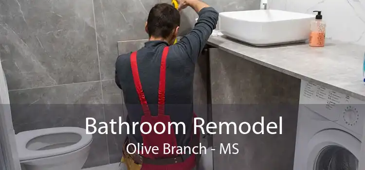 Bathroom Remodel Olive Branch - MS