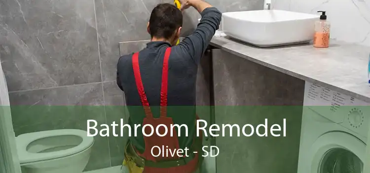 Bathroom Remodel Olivet - SD
