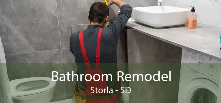 Bathroom Remodel Storla - SD