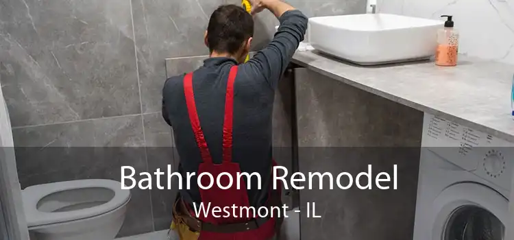 Bathroom Remodel Westmont - IL