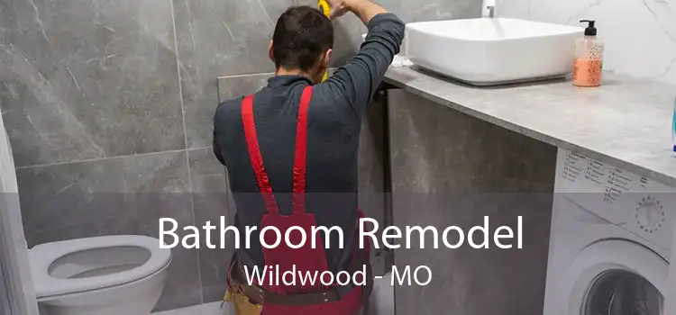 Bathroom Remodel Wildwood - MO