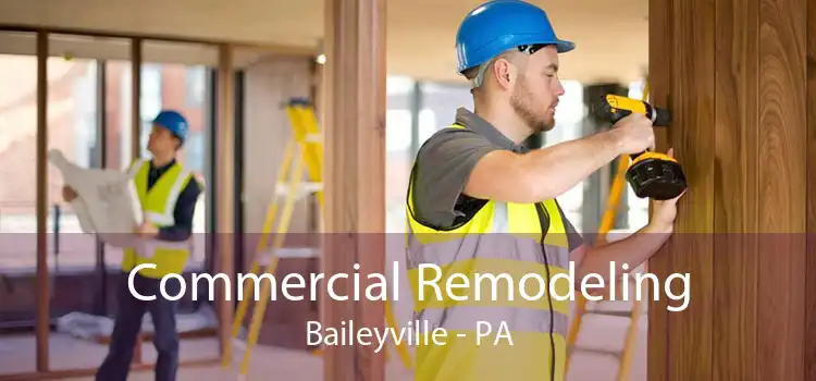 Commercial Remodeling Baileyville - PA