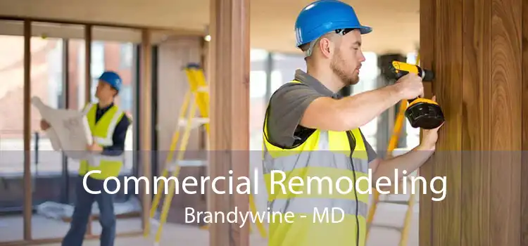 Commercial Remodeling Brandywine - MD