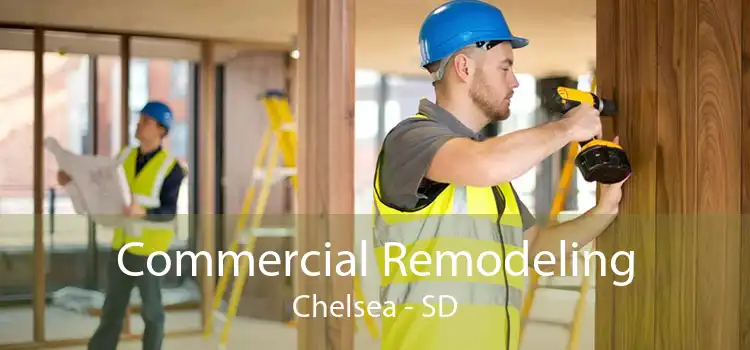 Commercial Remodeling Chelsea - SD