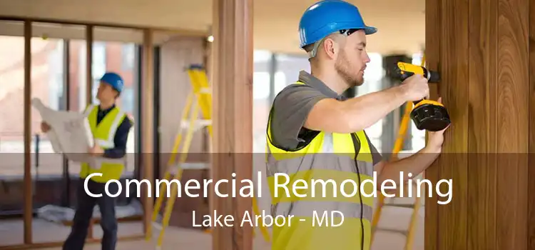 Commercial Remodeling Lake Arbor - MD