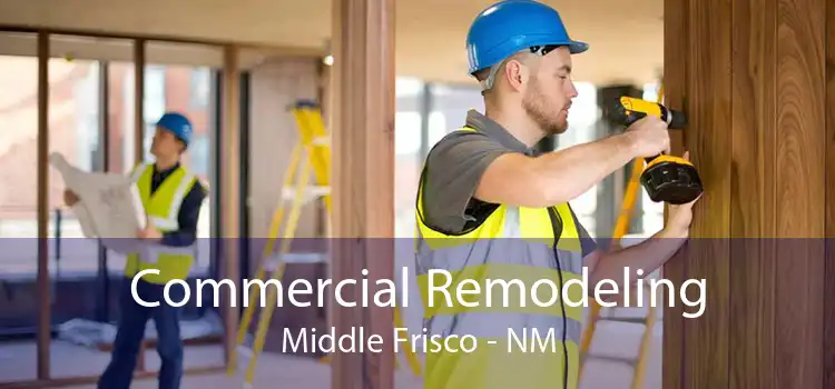 Commercial Remodeling Middle Frisco - NM