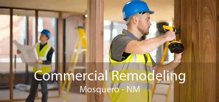 Commercial Remodeling Mosquero - NM