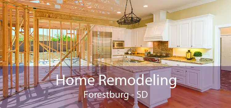 Home Remodeling Forestburg - SD
