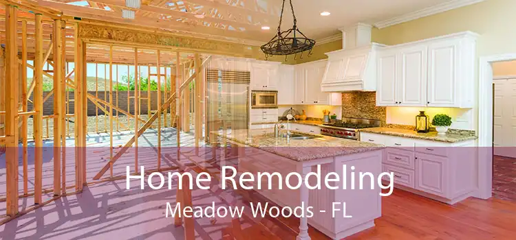 Home Remodeling Meadow Woods - FL