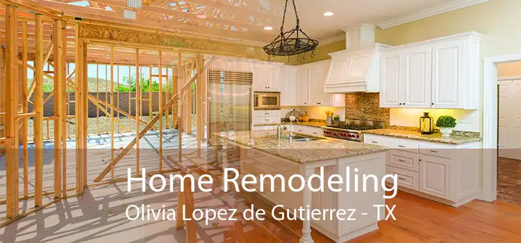 Home Remodeling Olivia Lopez de Gutierrez - TX