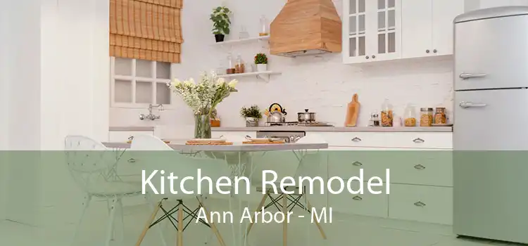 Kitchen Remodel Ann Arbor - MI