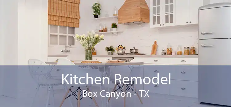 Kitchen Remodel Box Canyon - TX