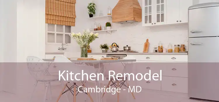 Kitchen Remodel Cambridge - MD