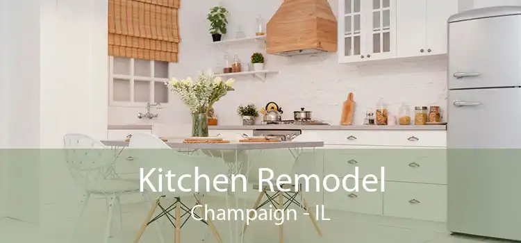 Kitchen Remodel Champaign - IL