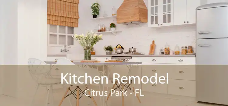 Kitchen Remodel Citrus Park - FL