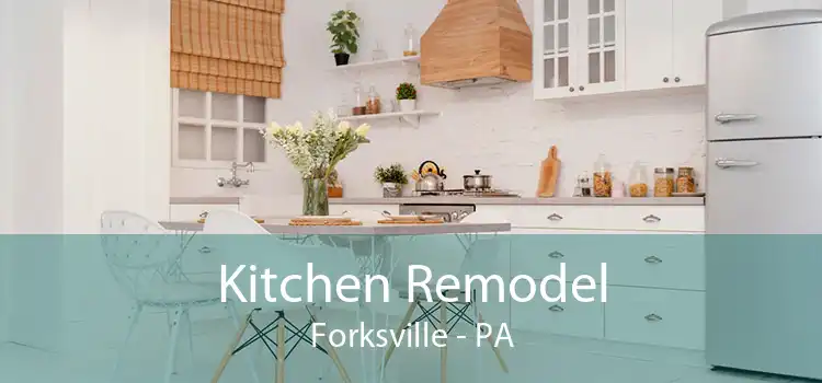 Kitchen Remodel Forksville - PA