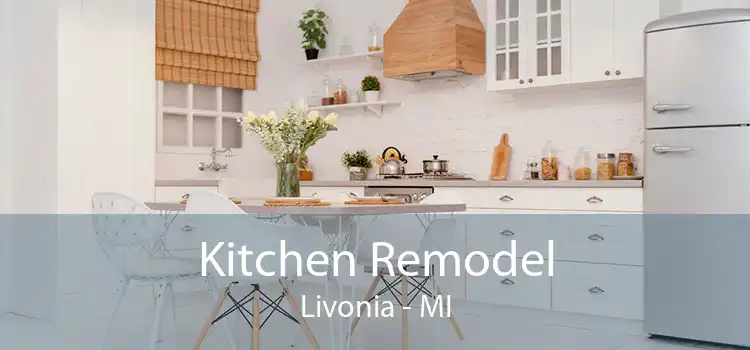 Kitchen Remodel Livonia - MI
