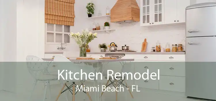 Kitchen Remodel Miami Beach - FL