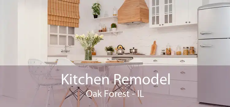 Kitchen Remodel Oak Forest - IL