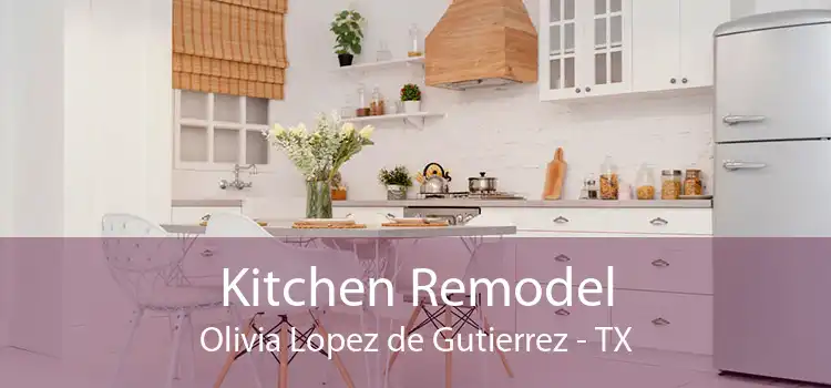 Kitchen Remodel Olivia Lopez de Gutierrez - TX