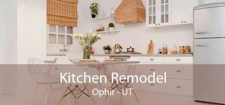 Kitchen Remodel Ophir - UT