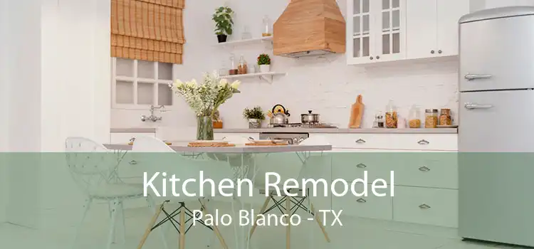 Kitchen Remodel Palo Blanco - TX