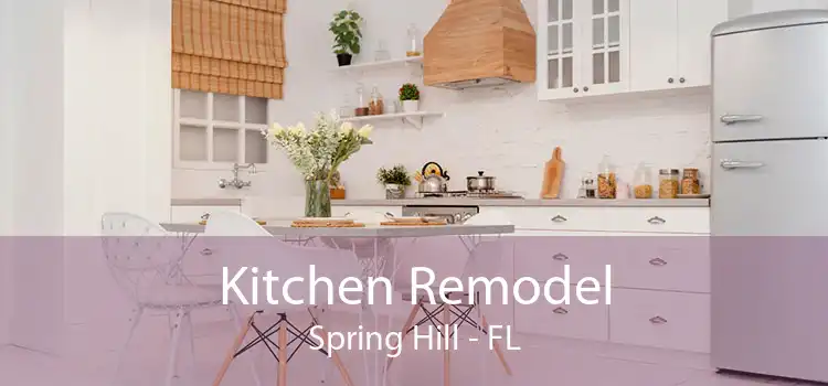 Kitchen Remodel Spring Hill - FL